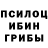 Псилоцибиновые грибы MAGIC MUSHROOMS Hibaa Lahd