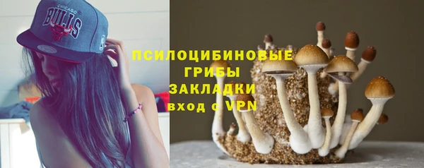 шишки Магадан