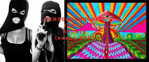 винт Медвежьегорск