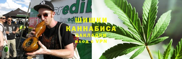 крисы Медногорск