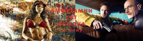 шишки Магадан