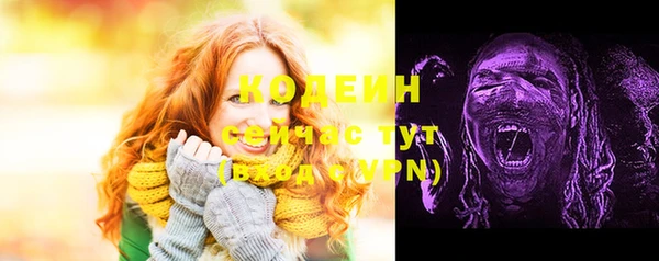 крисы Медногорск