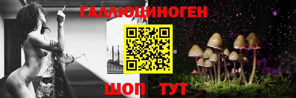 Галлюциногенные грибы Psilocybe  Рубцовск 